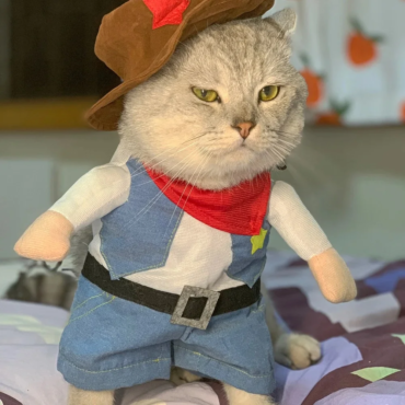 Cat-Clothes-Funny-Cosplay-Cowboy-Costume-For-Small-Medium-Dogs-Cats-Puppy-Outfits-Novelty-Kitten-Dress