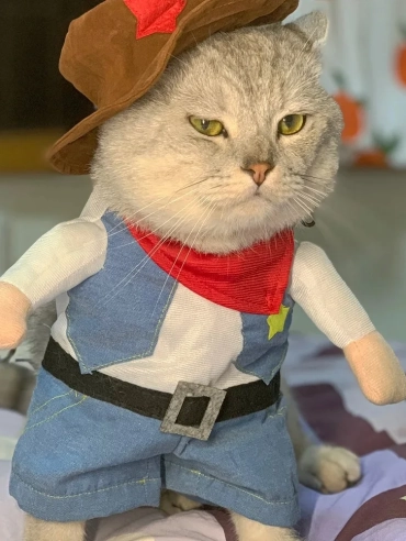 Cat-Clothes-Funny-Cosplay-Cowboy-Costume-For-Small-Medium-Dogs-Cats-Puppy-Outfits-Novelty-Kitten-Dress
