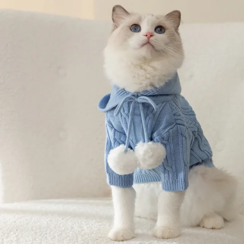 Cat-Clothes-Hooded-Sweater-Warm-Winter-Pet-Sweater-Cats-Fashion-Outfits-Coats-Soft-Sweater-Hoodie-Pet.jpg_640x640