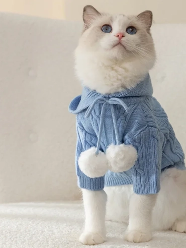 Warm-Cat-Clothes-Winter-Pet-Clothing-for-Cats-Fashion-Outfits-Coats-Soft-Sweater-Hoodie-Spring-Pet